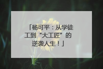 杨可平：从学徒工到“大工匠”的逆袭人生！